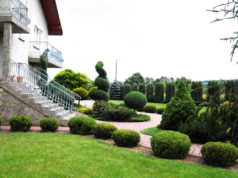 Ogródek – realizacja prywatna – zdjęcie 2