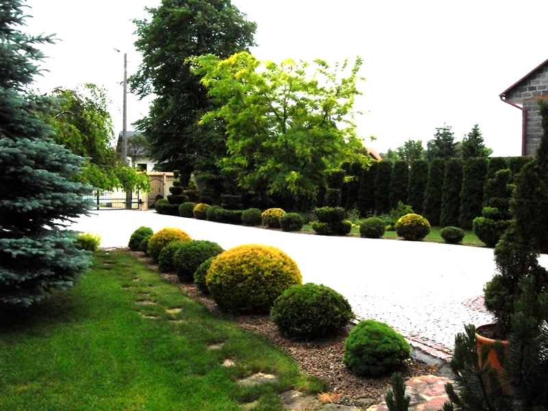 Ogród prywatny – Machowa – zdjęcie 9